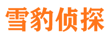 马龙侦探公司